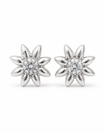 ORC-BOTTONE-01-SILVER