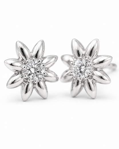 ORC-BOTTONE-01-SILVER