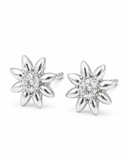 ORC-BOTTONE-01-SILVER