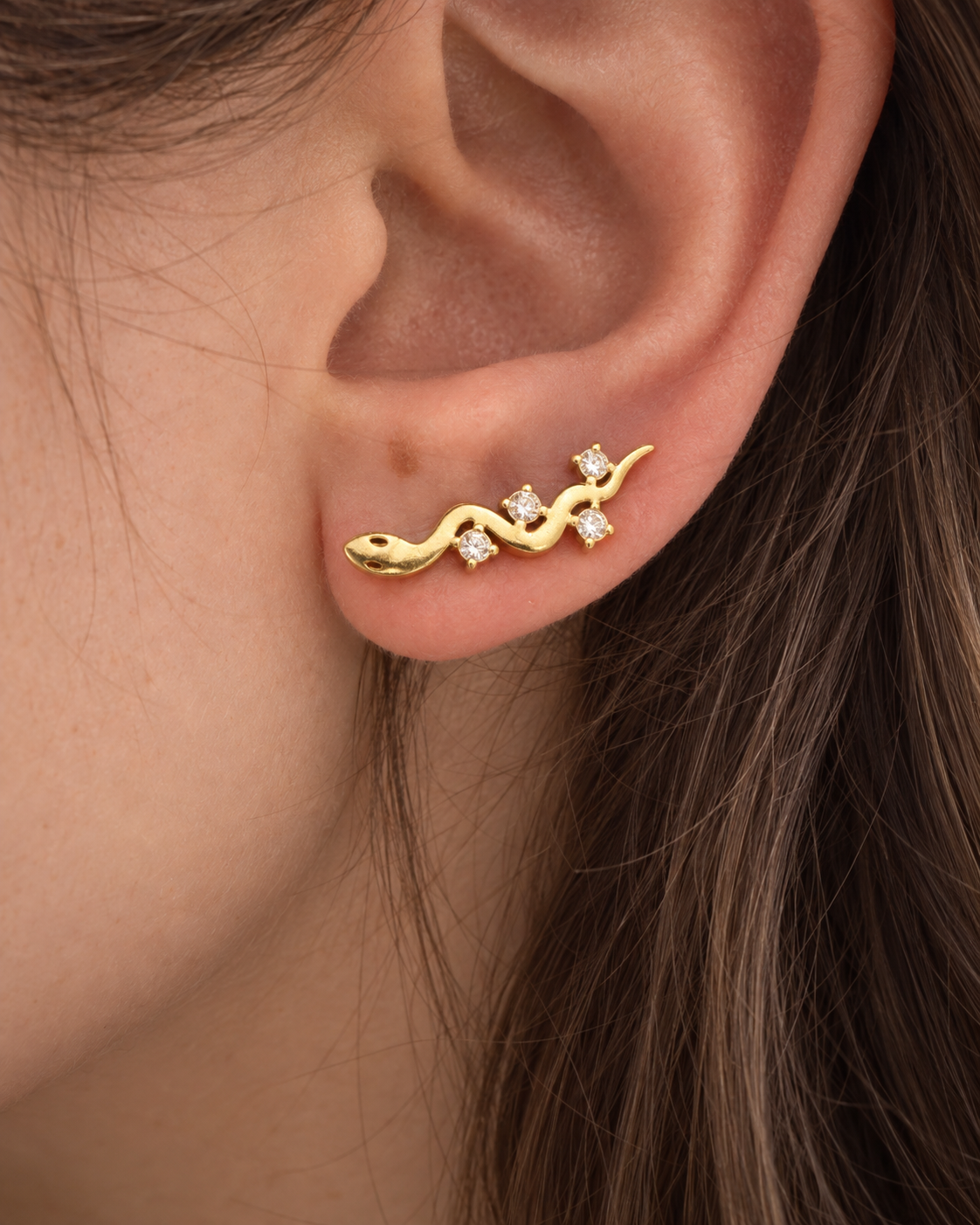 Snake Ear Climber