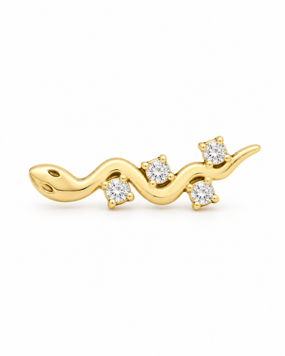 Snake Ear Climber
